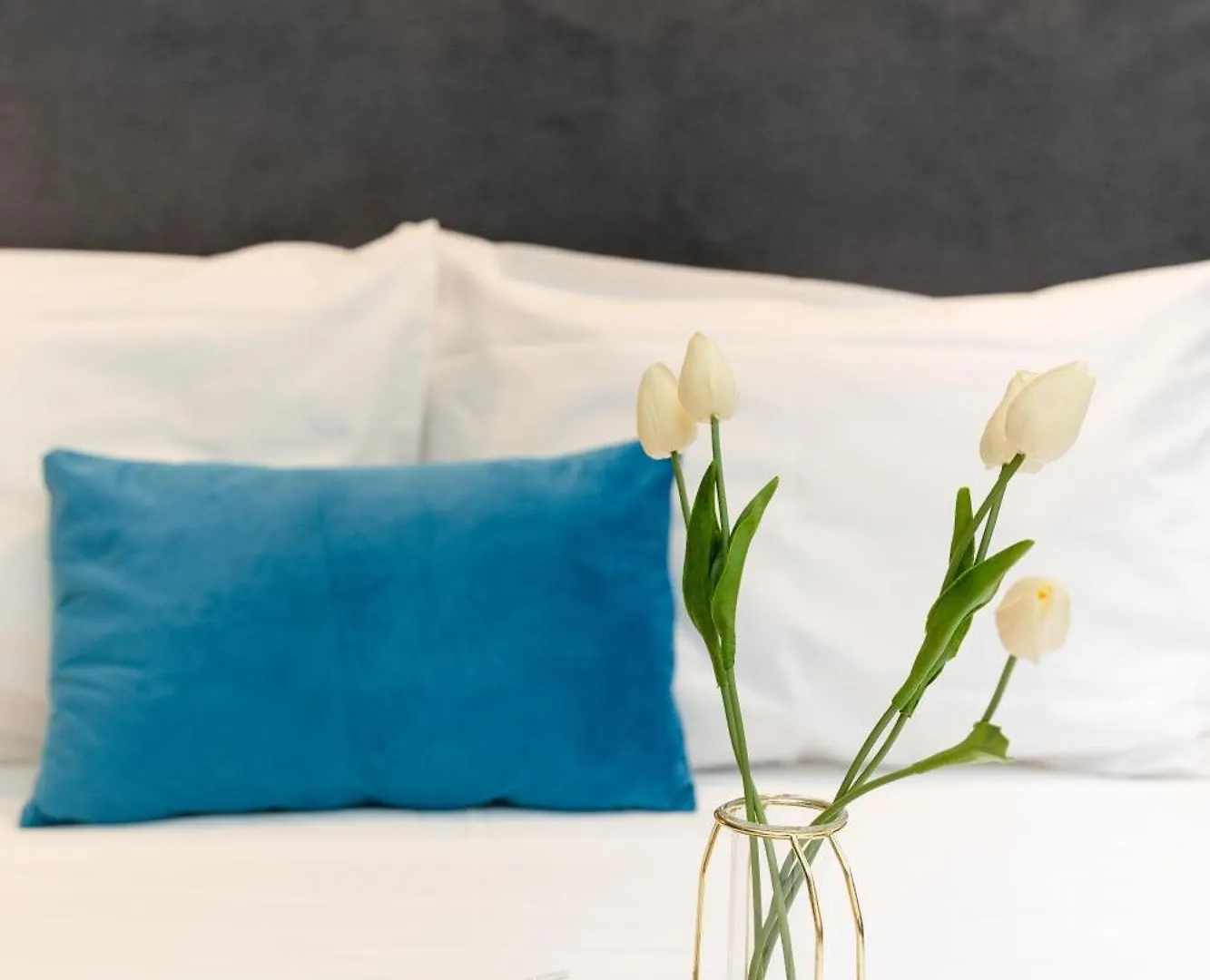 Valaoritou 3 Luxury Rooms سالونيك شقة